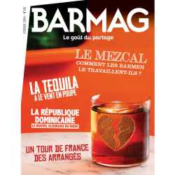 BARMAG N°181 - VERSION TELECHARGEABLE (PDF HD - 22 MO)